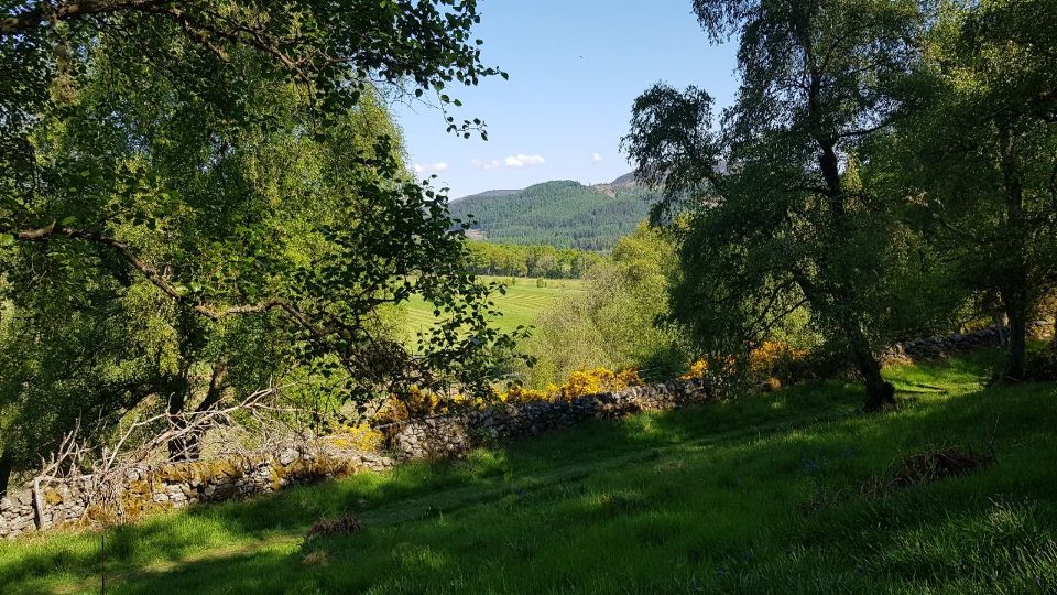 Slideshow 5 - Slide 20